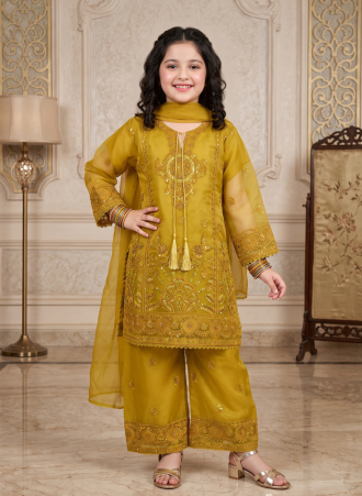 1039 Kids Organza