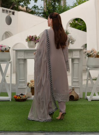 S-501 Women Chiffon