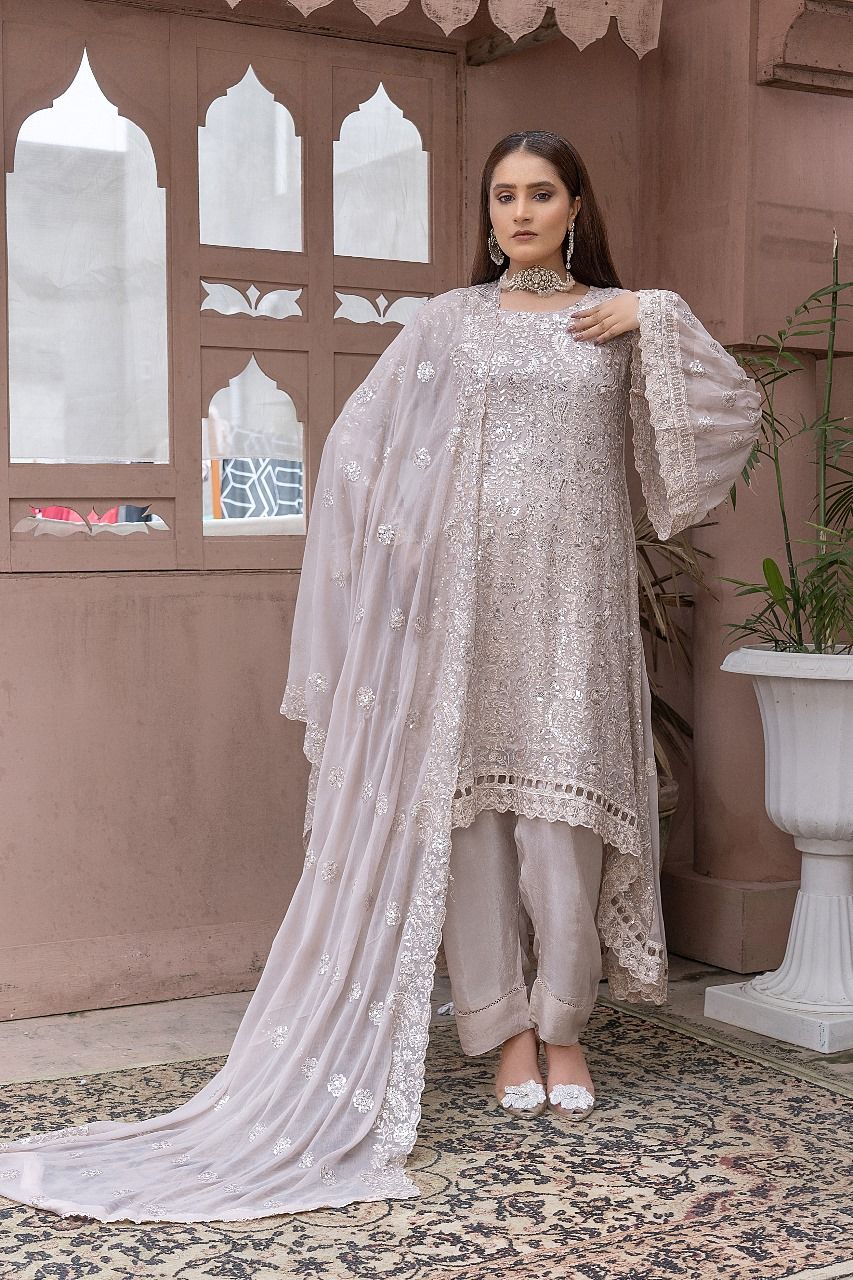 S-191 Women Sohni Dharti Chiffon