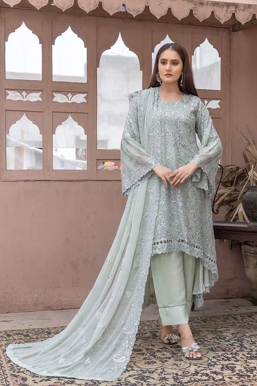 S-191 Women Sohni Dharti Chiffon