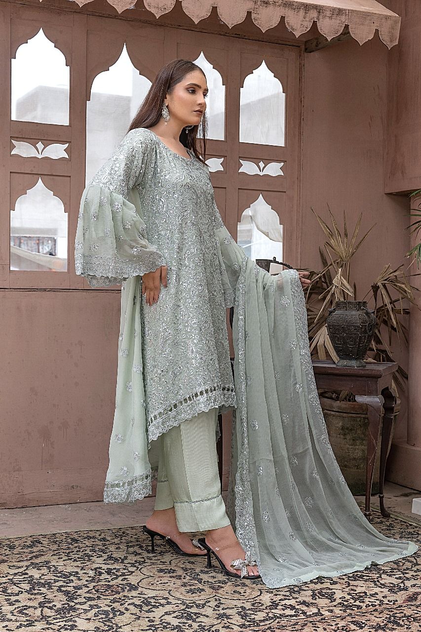 S-191 Women Sohni Dharti Chiffon