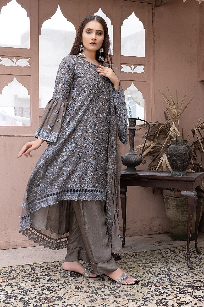 S-191 Women Sohni Dharti Chiffon