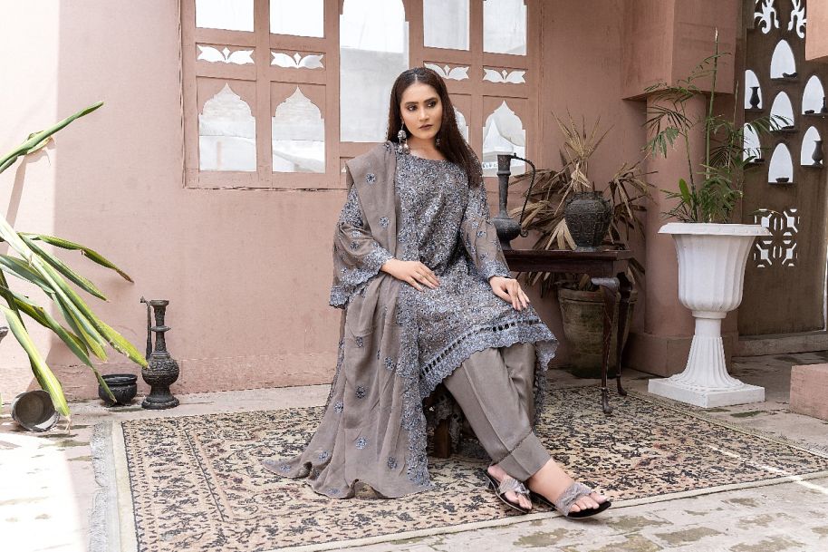 S-191 Women Sohni Dharti Chiffon