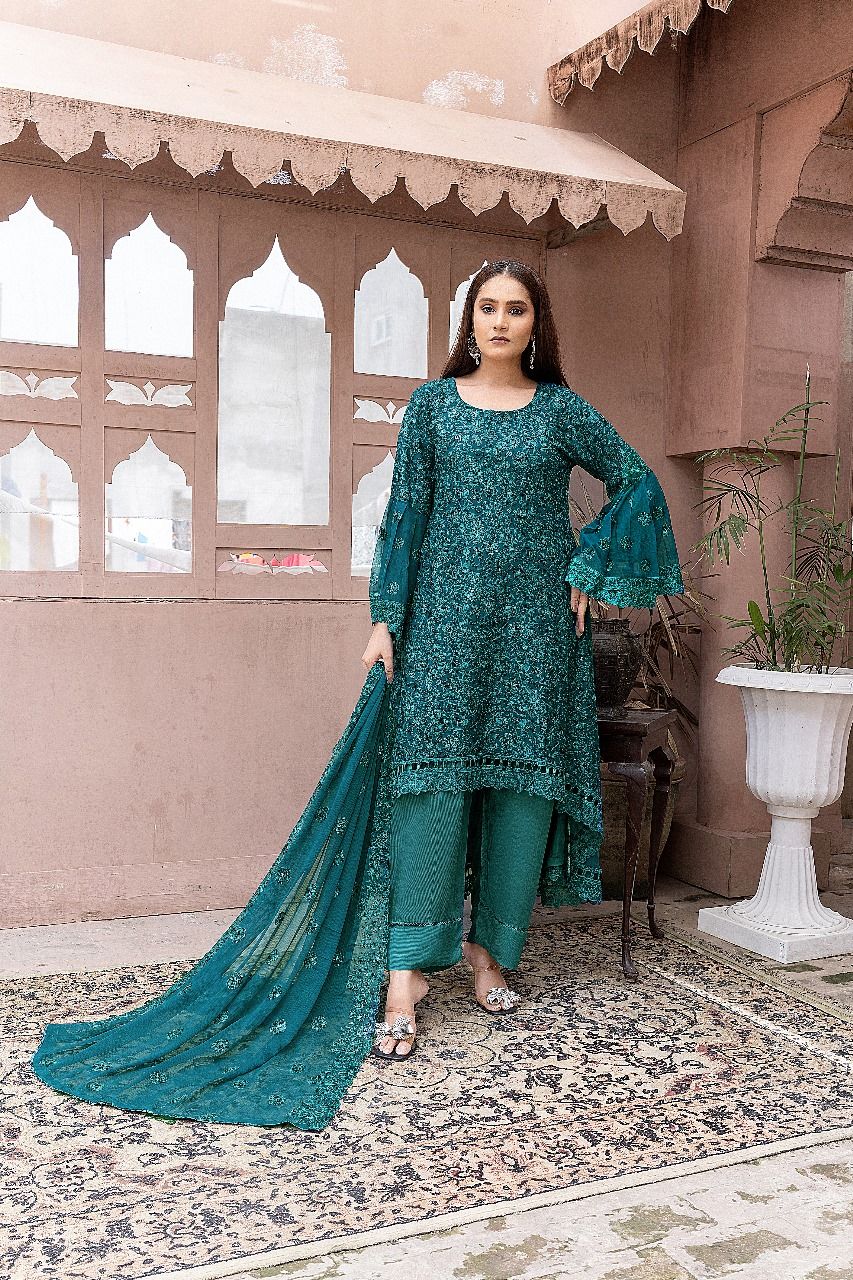 S-191 Women Sohni Dharti Chiffon