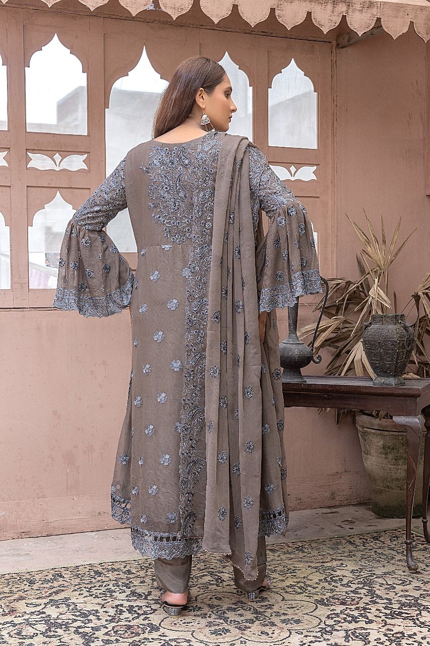 S-191 Women Sohni Dharti Chiffon