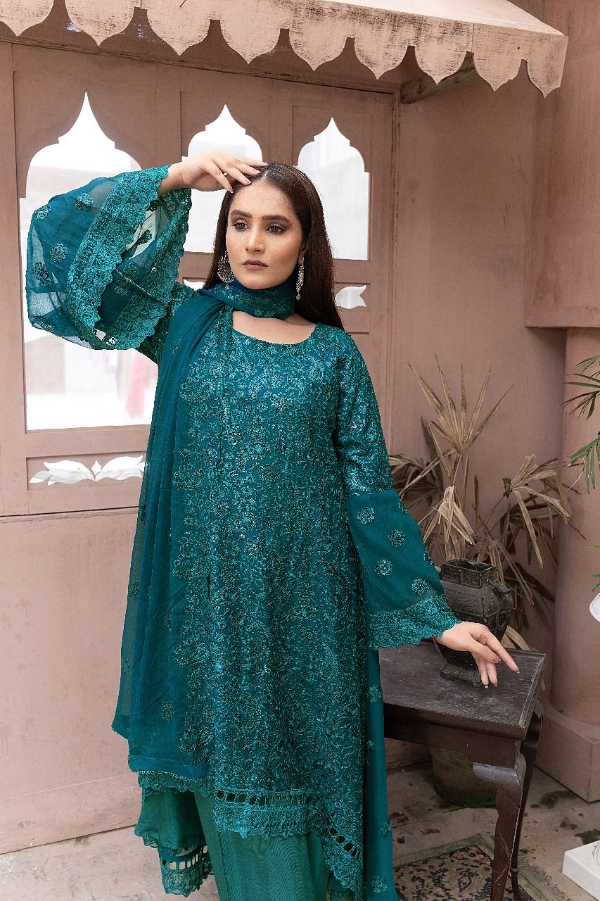 S-191 Women Sohni Dharti Chiffon