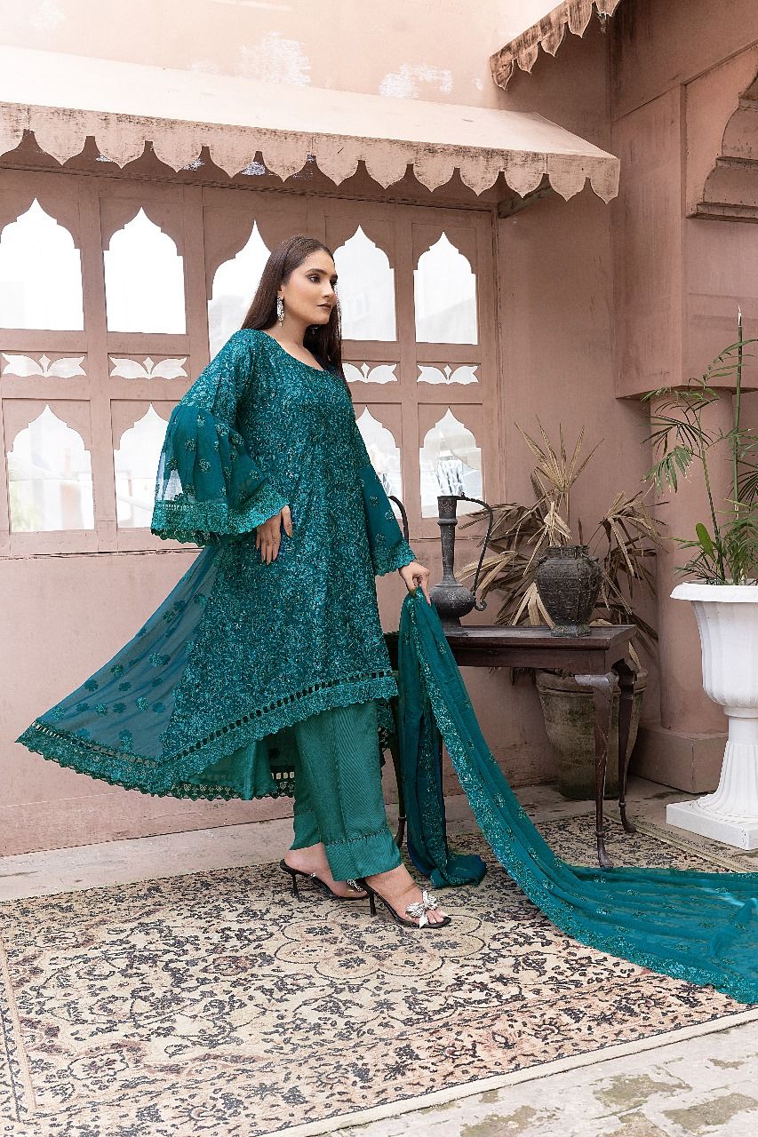 S-191 Women Sohni Dharti Chiffon