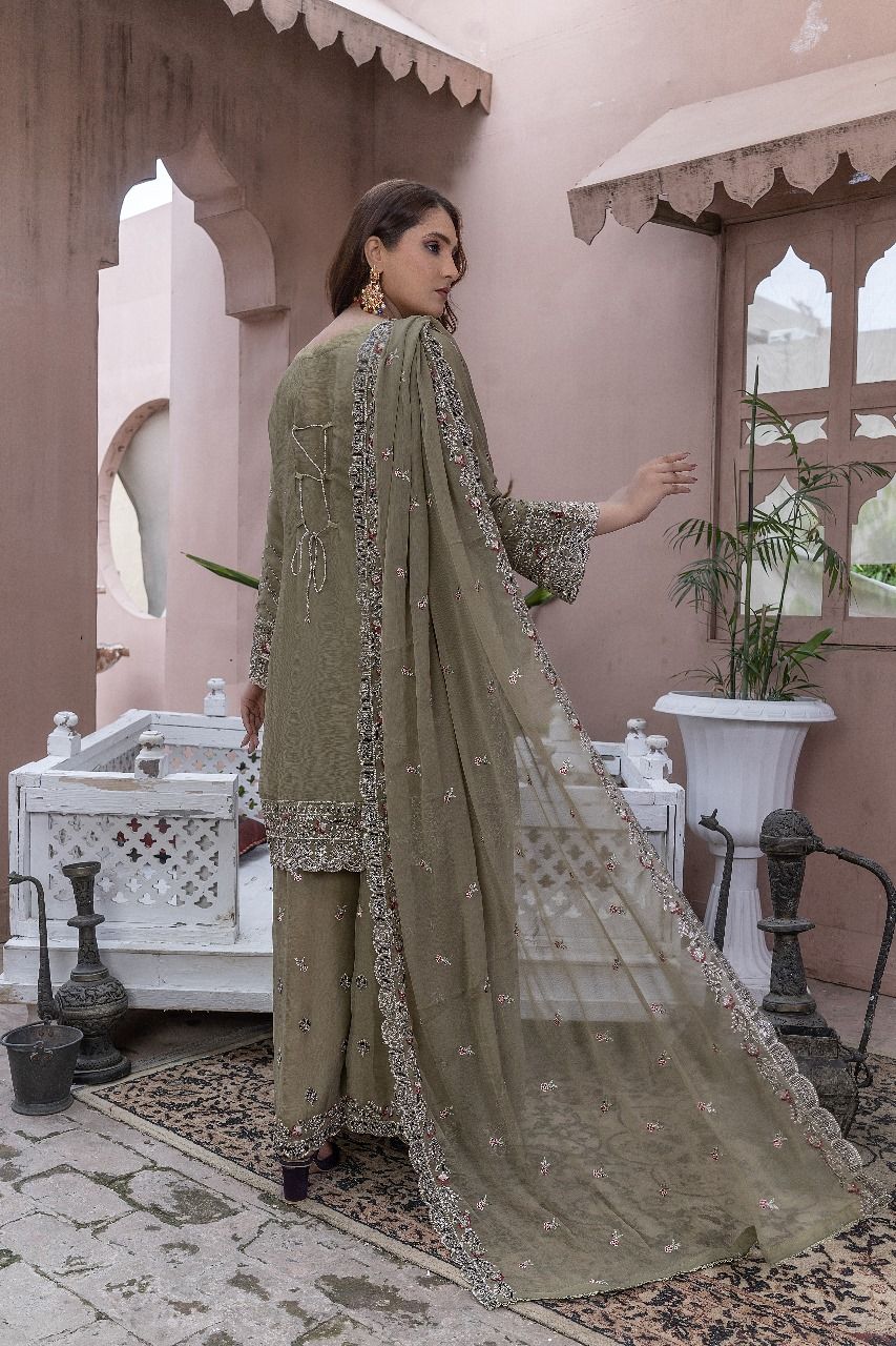 S-303 Women Sohni Dharti Chiffon