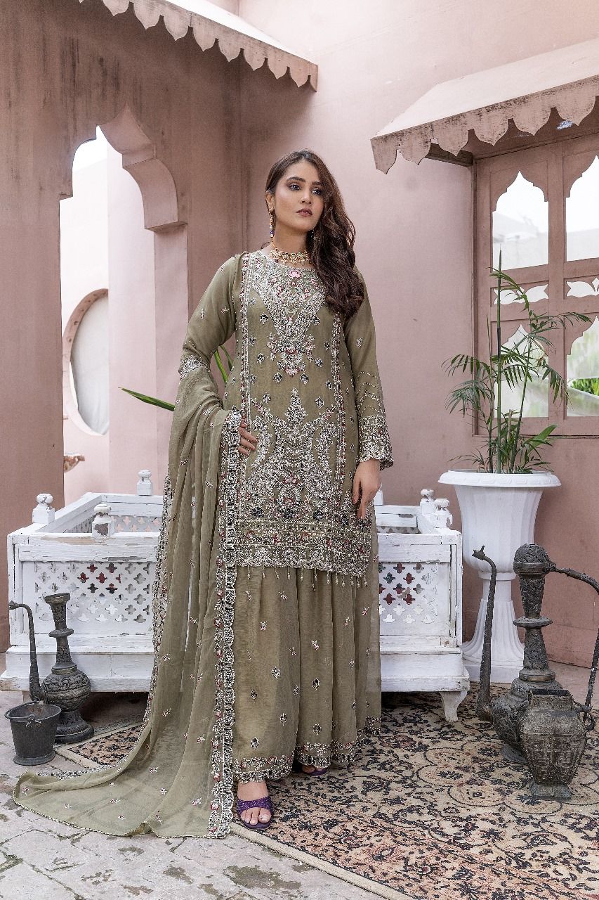 S-303 Women Sohni Dharti Chiffon