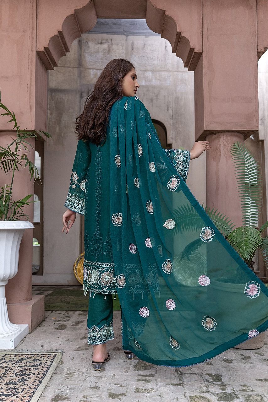 S-190 Women Sohni Dharti Chiffon