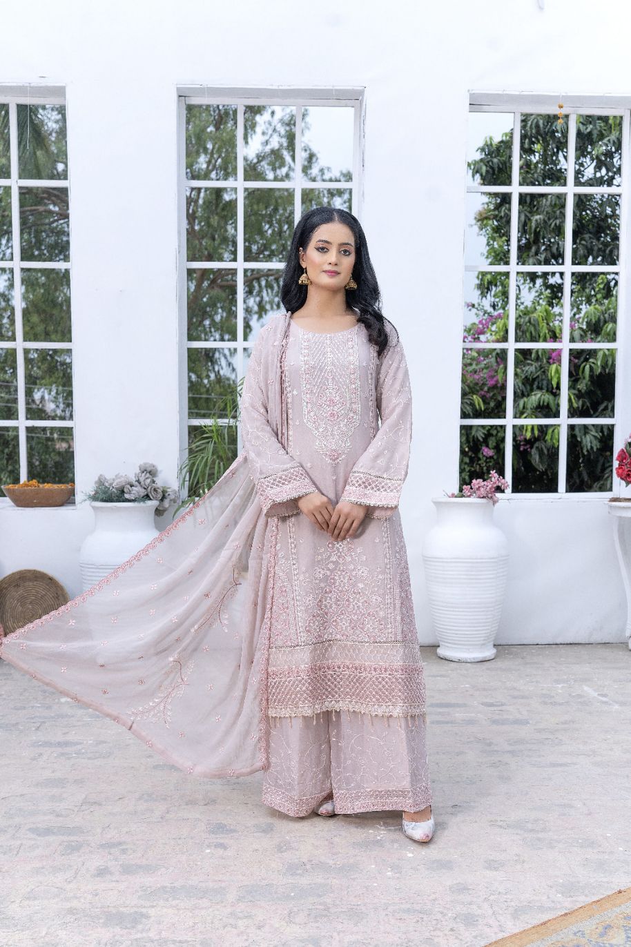 S-222 Women Sohni Dharti Chiffon