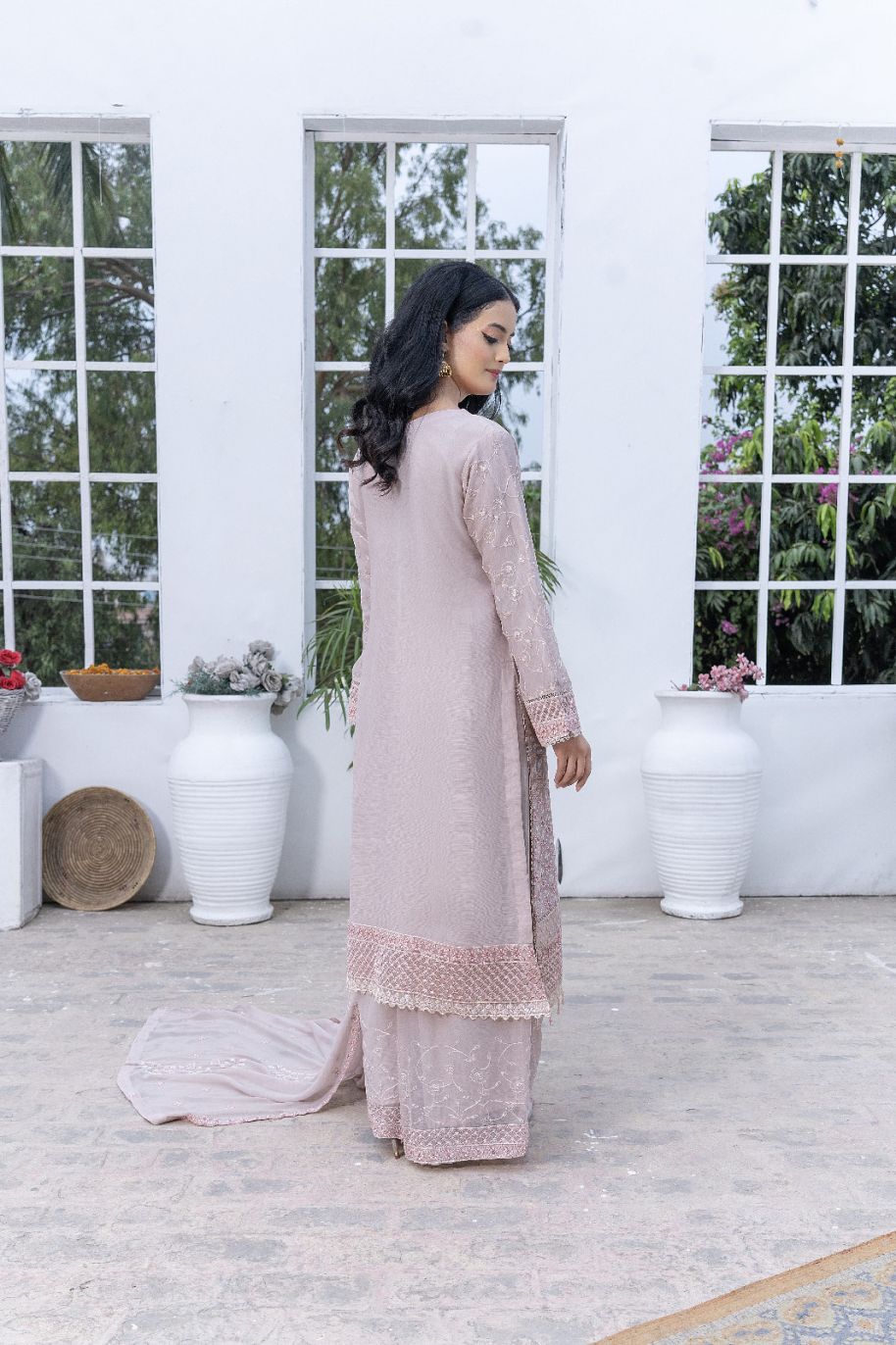 S-222 Women Sohni Dharti Chiffon