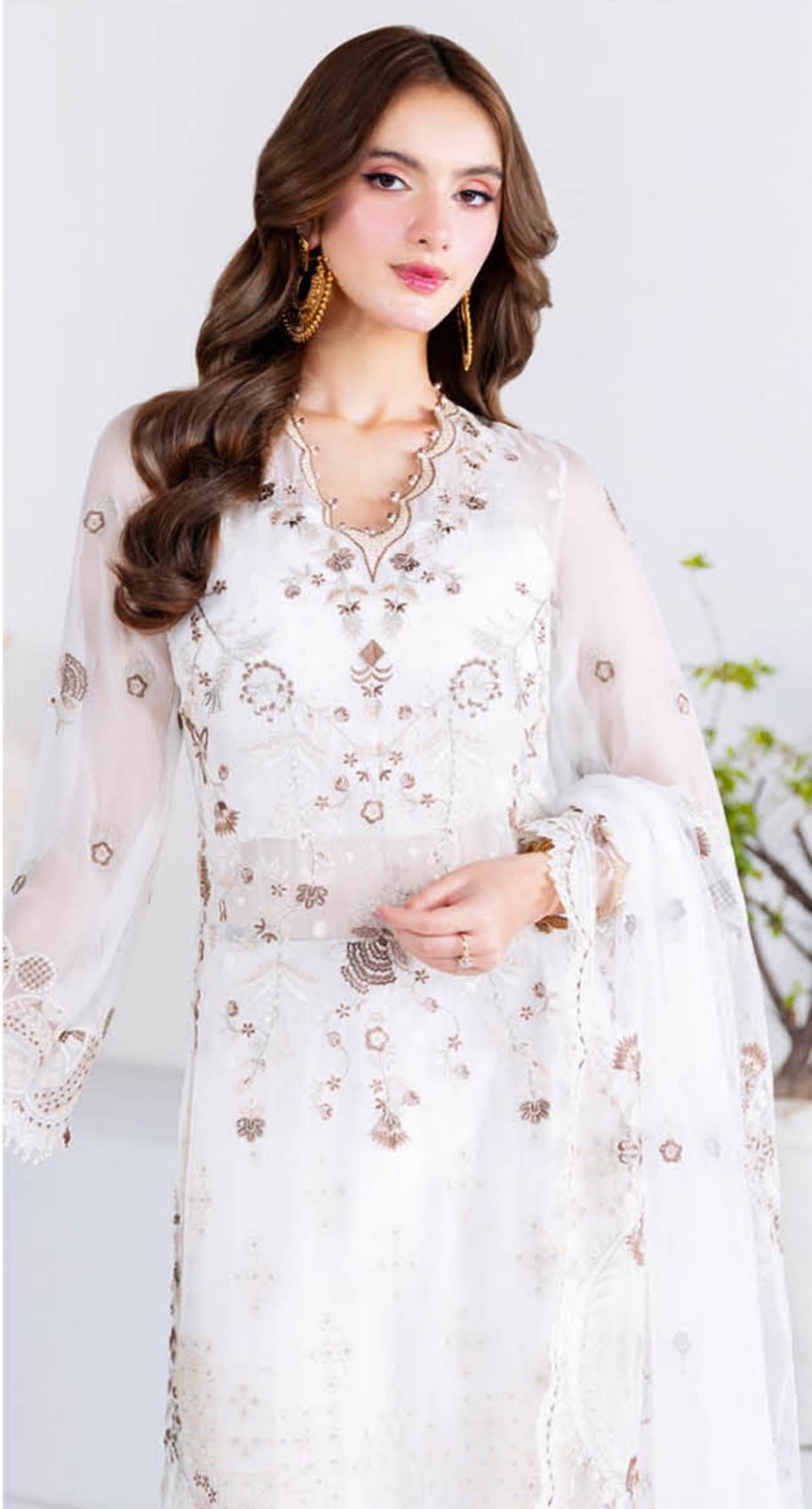 Ramsha Arzoo Chiffon Vol 02 Women Chiffon