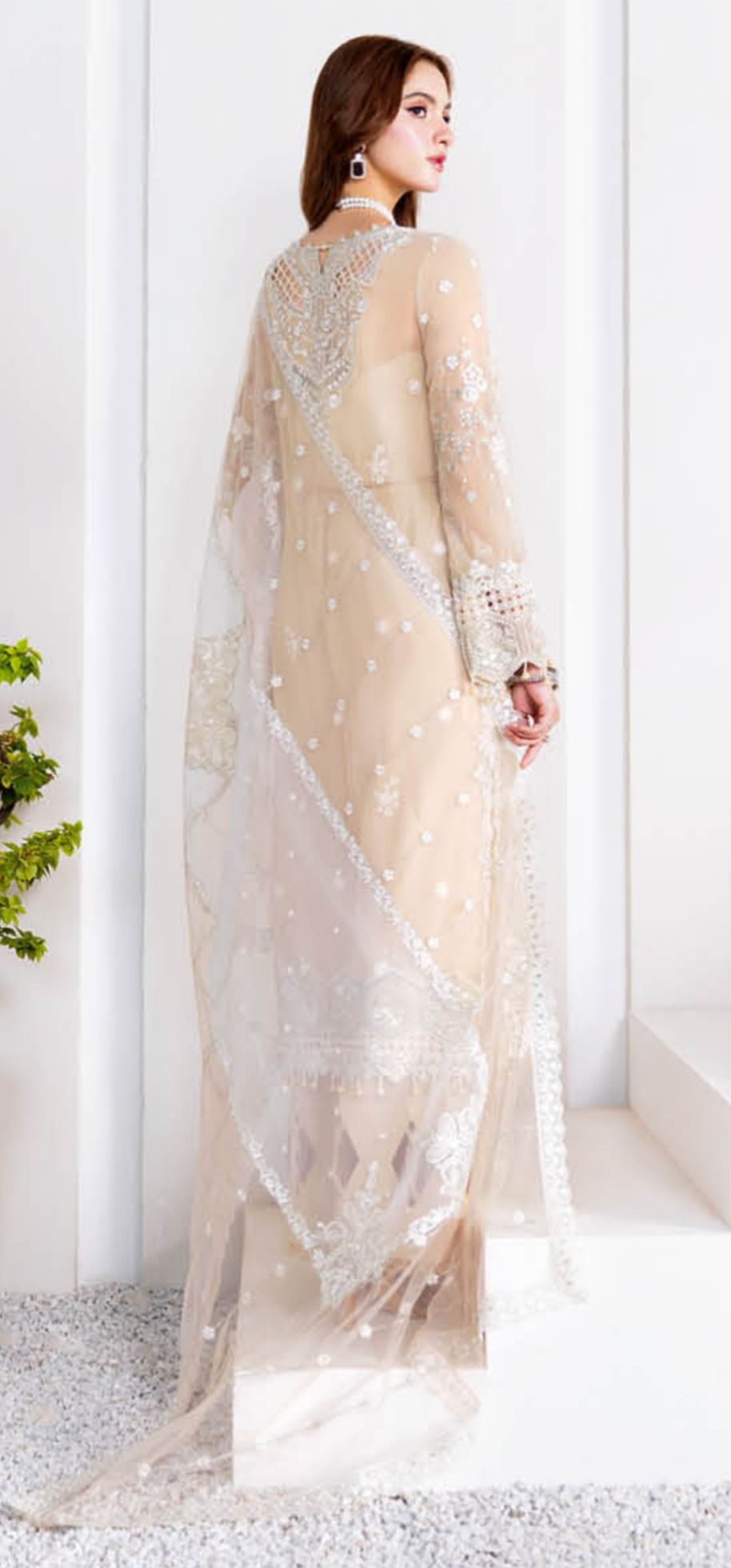 Ramsha Arzoo Chiffon Vol 02 Women Chiffon