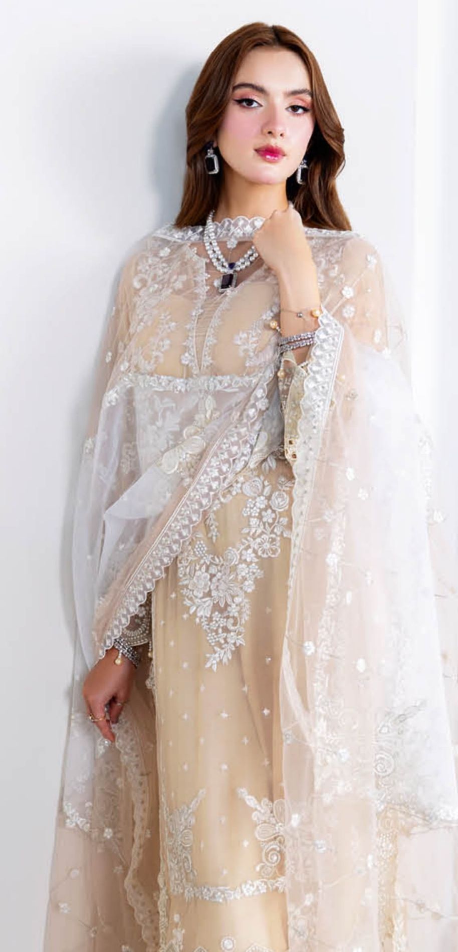 Ramsha Arzoo Chiffon Vol 02 Women Chiffon