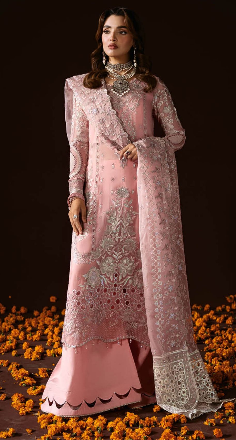 Ramsha Dastak Chiffon Vol 02 Women Chiffon
