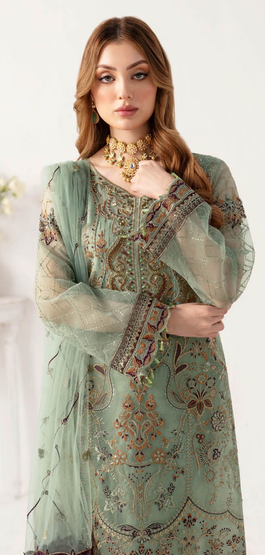 Ramsha Minhal Vol 11 Women Organza