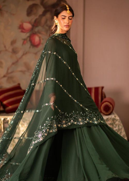 NOT FOR SALE  PISHWAS 1 Women Chiffon