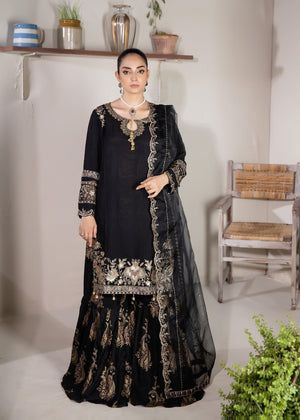 NOT FOR SALE  Gharara Women Chiffon