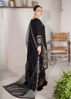 NOT FOR SALE  Gharara Women Chiffon