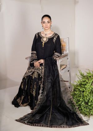 NOT FOR SALE  Gharara Women Chiffon