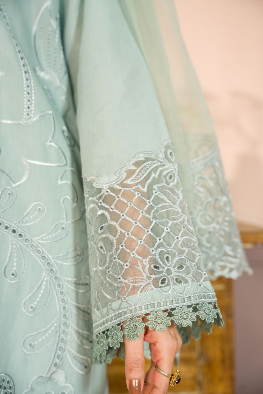 SDR 001 Women Cotton