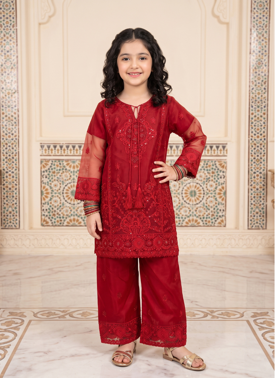 1039 Kids Organza